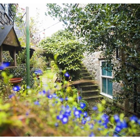 Abbey Place Net Loft Mousehole Exteriér fotografie
